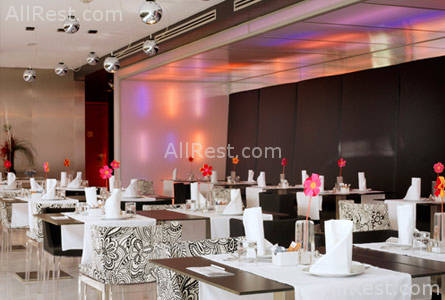 Eurostars AnglI 19